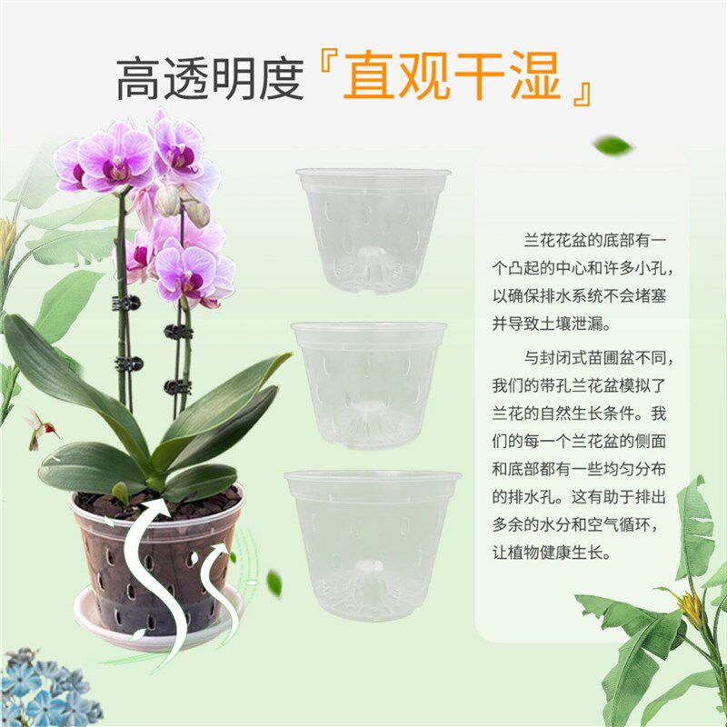 速发蝴蝶兰专用花盆透明塑料硬植杯文心兰石斛控根盆悬挂垂吊花盆
