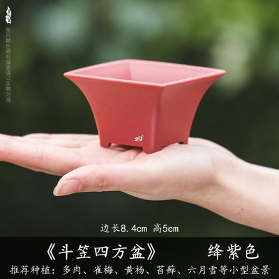 速发塑料花盆迷你多肉铜钱草兰花盆大小号圆形长方形仿紫砂陶瓷景