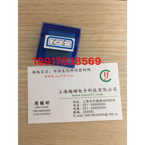 C6 0.2网形目镜尺/镜台测微尺/目镜测微尺）C6 型0.2网形目镜尺