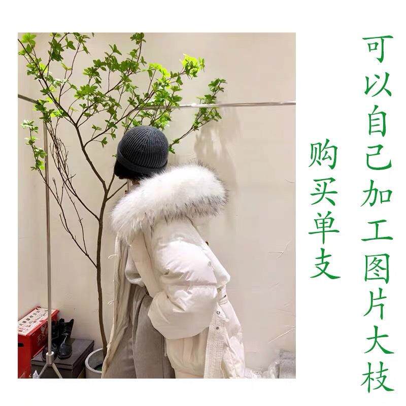 仿真吊钟叶DIY日本多瓣叶过胶片叶子枯树树干装饰换新吊钟树叶