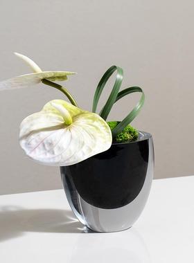 现代轻奢玻璃花器花艺摆件样板房桌面装饰花瓶酒店茶几插花装饰品