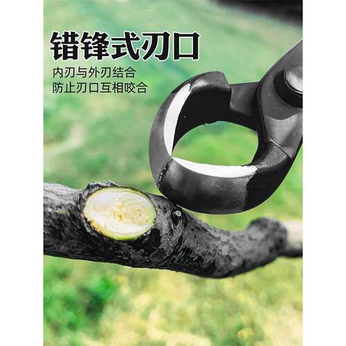 球节剪盆景修剪造型工具制作盆栽叶芽球形球型剪刀修枝钳套装