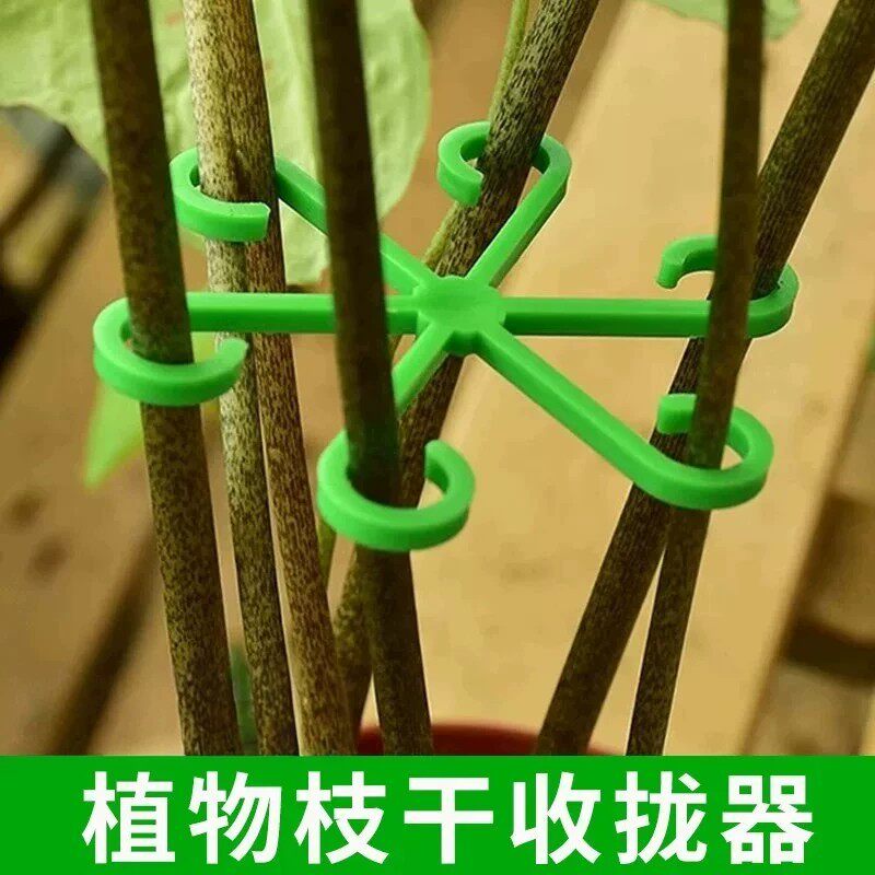 防倒伏支架绿植花架支撑架支撑