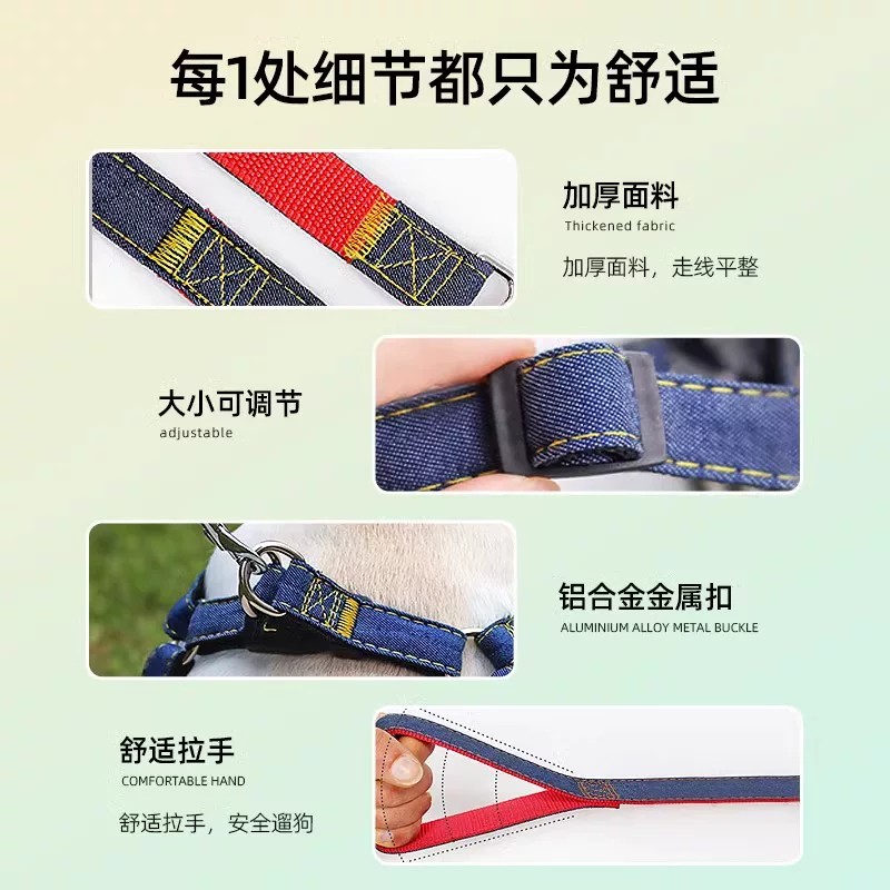 小中大型犬泰迪博美比熊牵引绳