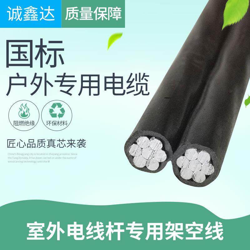 电缆线2芯4/6/10/16/25/35平方铝线电线家用户外防老化二芯平行线