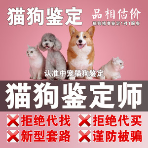 猫狗鉴定专业包准真人在线服务