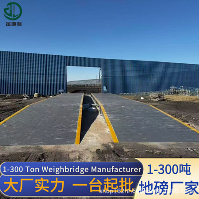 山东河北专用防作弊汽车衡