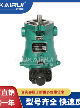 启东液压10SCY 25 40 63 80 108 100 160SCY250SCY14-1B柱塞油泵