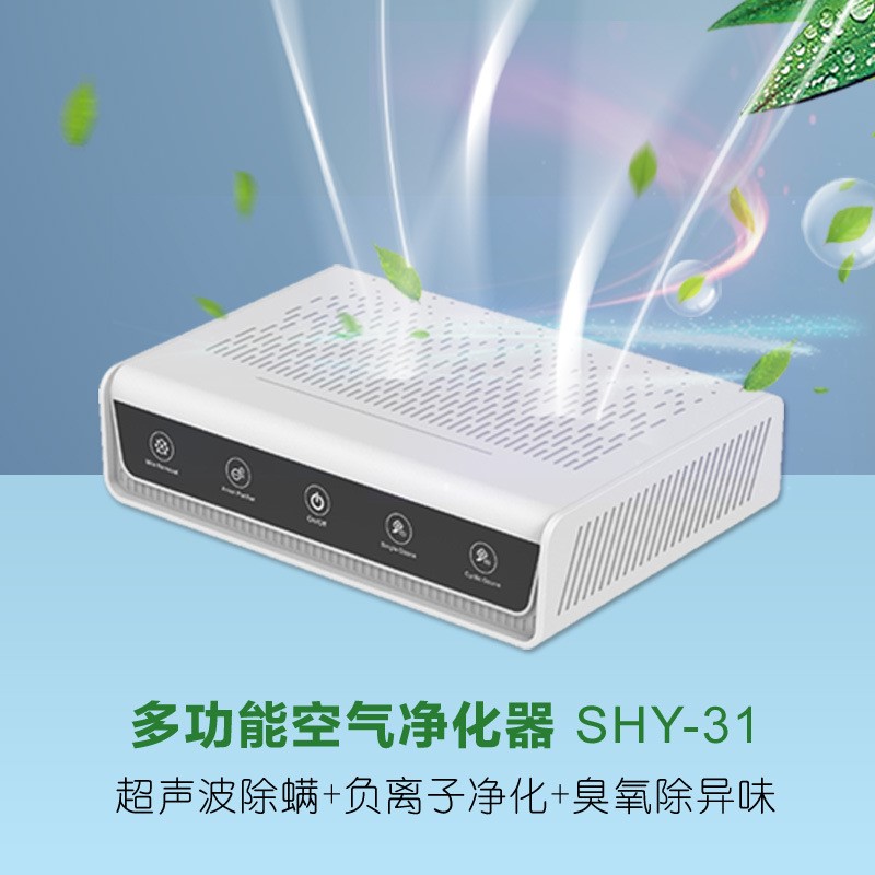 多功能家用空气净化器负离子+超声波+臭氧除异味小型家用车载通用