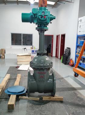 现货Z941H-25C-DN600智能调节一体式电动闸阀莫力量控制WCB材质