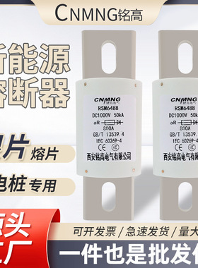 充电桩熔断器RSM6288/DC1000V/850A新能源直流熔断器RS309-MM/HEV