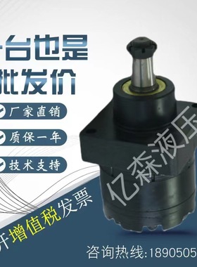 液压轮边马达BMRW1-50 80 100 125 160 200 250 升降平台行走马达