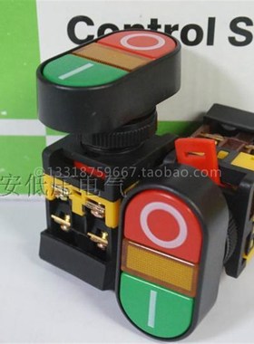 椭圆双位控制带灯按钮开关 APBB-22/25N
