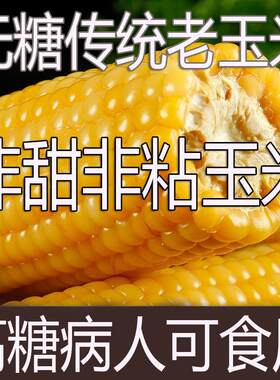 老式玉米棒传统普通玉米低糖有嚼劲老式非基因改造代餐香糯黄玉米