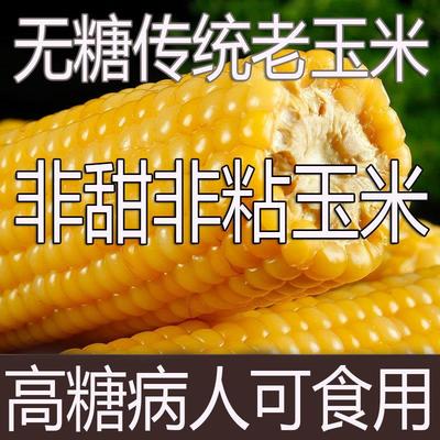 【农科院热销】正宗老式玉米棒
