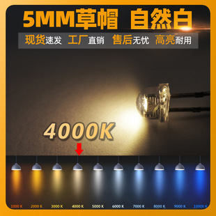 草帽灯珠  自然白LED 中性白 低光衰白光 色温4000K-4500K 直插灯
