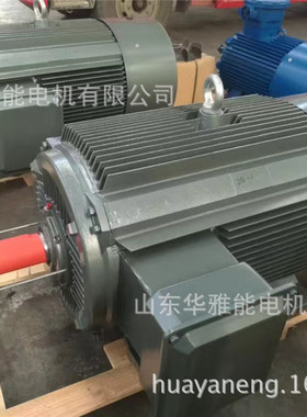 华雅能BM-315L2-4-185KW电机替代WEG电机功率185千瓦转速4极F级