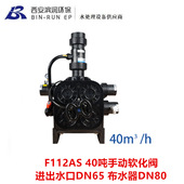 老款 F78AS 润新40吨手动软化阀 F112AS 进出水口2.5寸 DN80布水器
