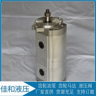 采煤机双联齿轮泵 453R CBK1016