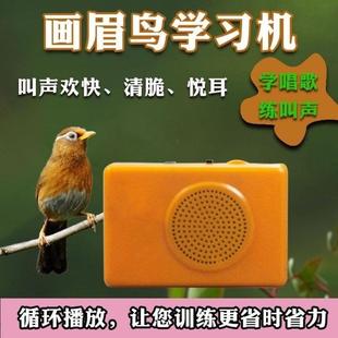 模仿鸟叫音响画眉百灵红子鸣叫鸟用学习机复读声音专用叫声播放器