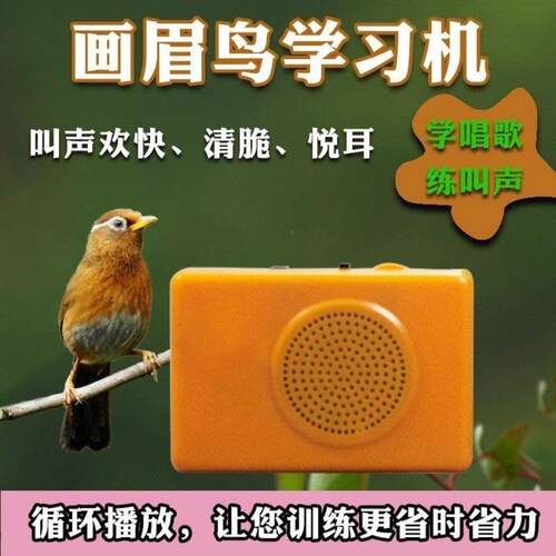 模仿鸟叫音响画眉百灵红子鸣叫鸟用学习机复读声音专用叫声播放器