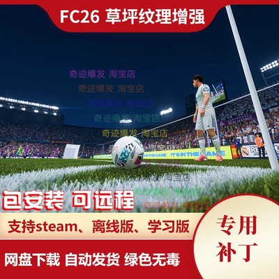 FC26 草坪纹理增强补丁 改变草皮的质感更加现实真实感 不含游戏