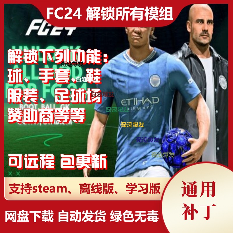 FC24 解锁所有补丁 手套球鞋经理服装赞助商足球观战 不含游戏