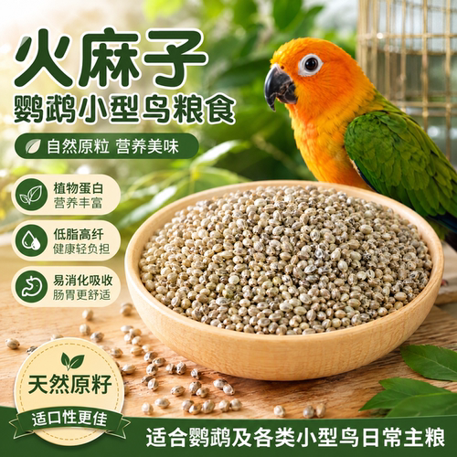 鹦鹉纸壳麻子大颗粒正品官方旗舰店新货鸟食饲料训练专用奖励零食