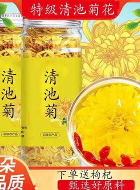 河南开封正宗有机青清驰菊花茶特级青弛菊野生清池菊花旗舰店正品