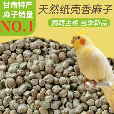 纸壳麻子鹦鹉鸟粮大中小颗粒麻籽玄凤虎皮牡丹小太阳鸟食仓鼠鸽粮