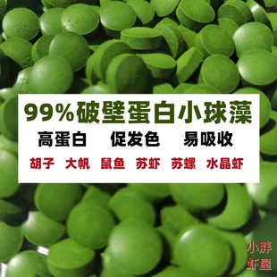 央妈推荐小球藻鱼食鼠鱼胡子大帆异型底栖鱼饲料苏螺水晶虾苏虾虾