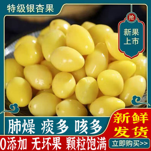 2025新货白果银杏果新鲜干果仁即食官方旗舰店正品去皮无硫无添加