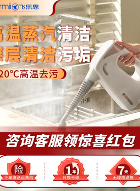 厨房油污神器蒸汽清洁机多功能