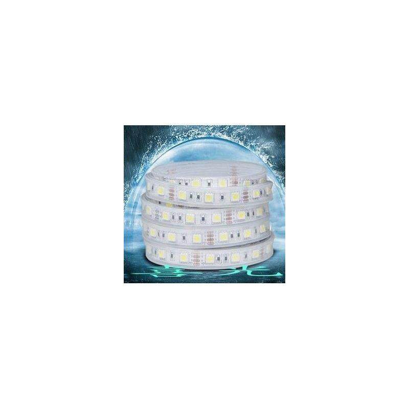 灌胶低压水底室外防水灯带 鱼缸灯带水池12V灯带七彩可变色 IP68,家装灯饰光源,室内LED灯带,淘宝优惠券,粉丝福利购,淘宝优惠卷