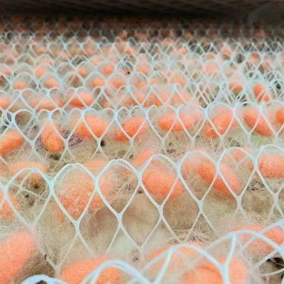 嵊州厂家供应纯天然金黄色粉红色20/22D生丝 色泽自然雍容华贵