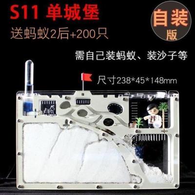 蚂蚁城堡工坊超大型送蚁后对战繁殖版生态箱蚂蚁巢穴学生蚁巢庄园