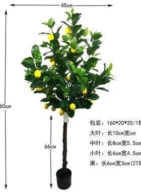 仿真水果檬树绿迷你小盆栽植柠檬客树室内厅装饰摆件厂XRS-244柠