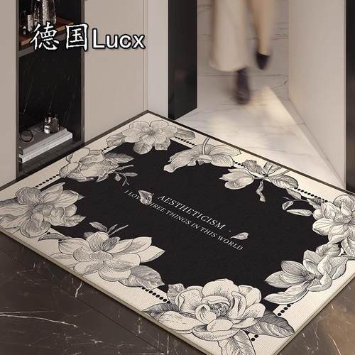 德国入户门地垫进门门口脚垫防滑防水免洗地毯玄关耐脏脚垫子