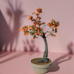 金弹子盆栽老鸦柿子绿植阳台树苗花卉室内植物办公桌花卉阳台果树