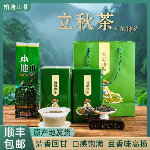 柏塘山茶立秋茶手工炒茶
