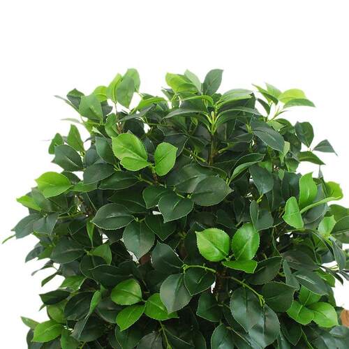 新仿真山茶树球形绿植盆栽室内外装饰摆件园林景观布置绿植仿真树