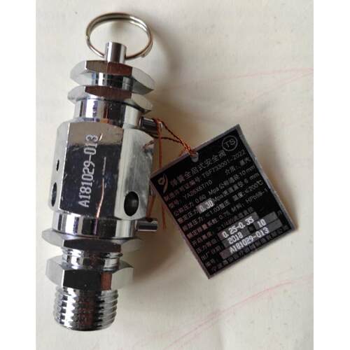 宁波甬安0.30MPa全启式安全阀YA28X6T/10山东新华MOST台式灭菌器