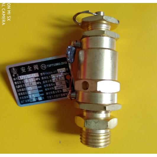 宁波久兴全启式安全阀0.17MPA上海三申YM50 YM75立式灭菌器配件