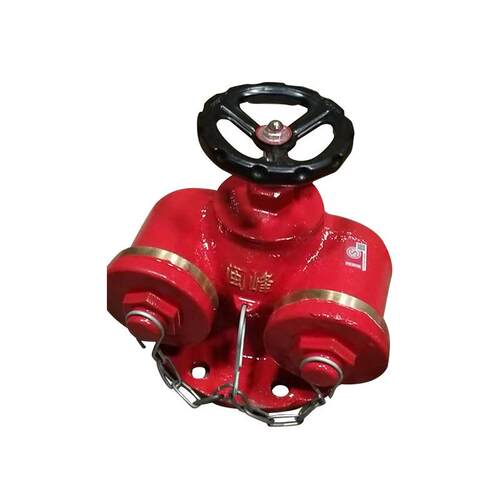 水泵接合器地上式消防水泵接合器SQD多用式消防水泵接合器