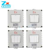 防爆开关220V10A明装 暗装 墙壁86型单开双开三开四开照明开关