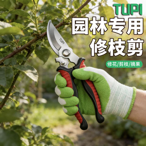 园艺剪园林剪枝剪果树专用剪刀鲜花花卉剪子不锈钢修枝剪粗枝剪