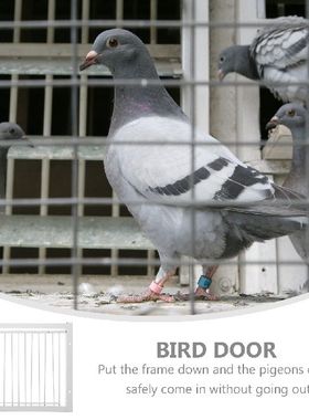 Door Pigeon Bird Cage Entrance Iron Racing Way Traps Bar