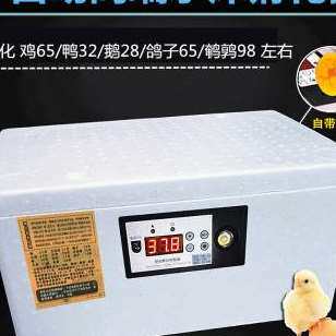 极速智能孵化器小型家用孵化机全自动智能鸡鸭K鹅鸽蛋保温箱水床
