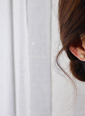 Ins Hot Sale Exquisite CZ Rose Flower Women Earring Shine AA