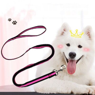 极速190cm Elastic Dog Leash Pet Cat Puppy Anti Dash Pull Dog